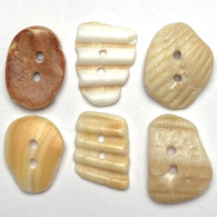 Six Natural Shell Buttons, 7/8"- 1" Various Colors, Shapes # BCH-116
