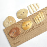 Six Natural Shell Buttons, 7/8"- 1" Various Colors, Shapes # BCH-116
