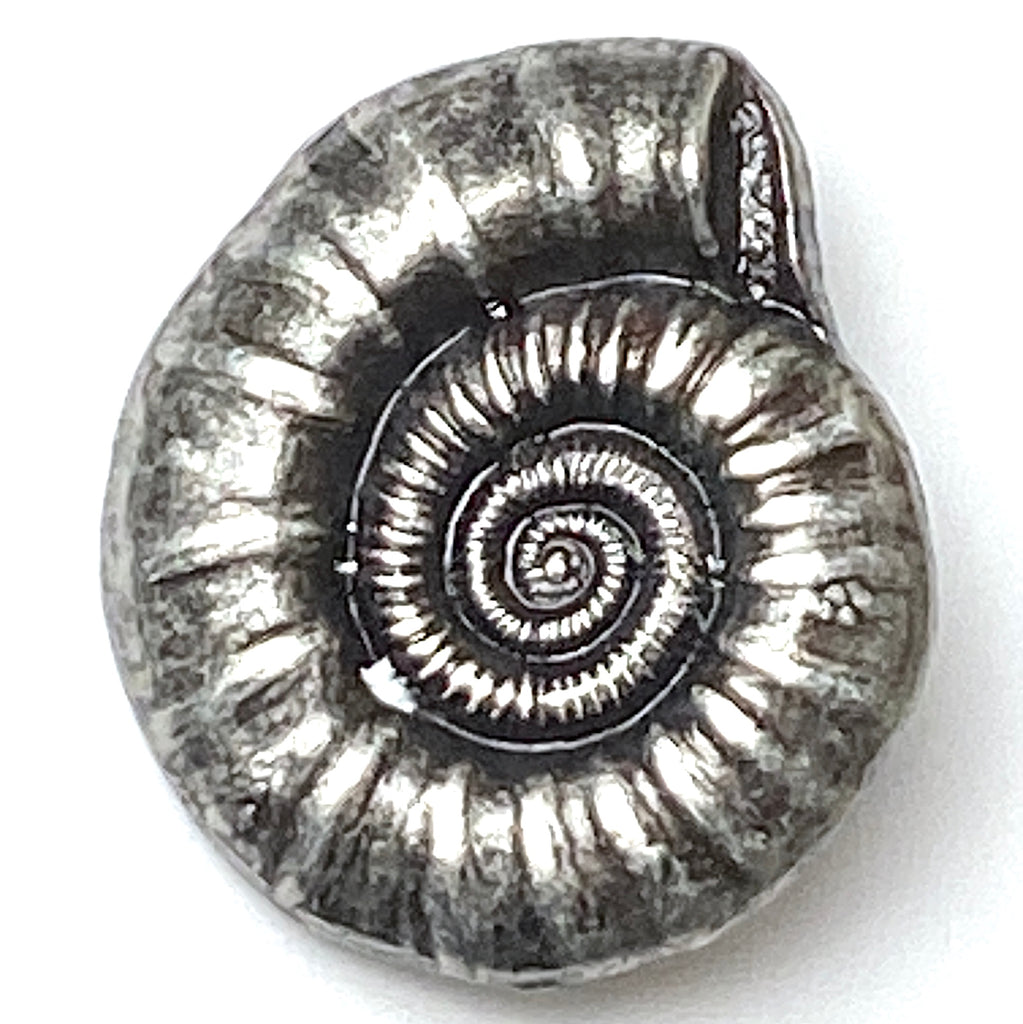 Ammonite or Nautilus Shell Button, 9/16