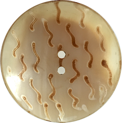 Squiggles 1-7/8" Large Scoop Horn Semi-Clear Two Hole Button, Natural Tan Sleek Smooth Translucent