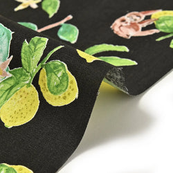 DEEPER SALE, Lemon Thief Cotton/Linen Lightweight Canvas from Japan, 42" Wide By the Yard