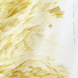 DEEPER SALE, Golden Olive Sketch-Marks Artisan Cotton Double Gauze from Japan, 'Good Sign' by Nani Iro, 41" Wide By the Yard #EGX-11140-1C