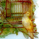 Birdcage Mother of Pearl Button by Susan Clarke, 1-3/8"  #1659