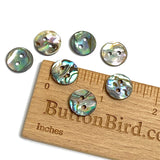 Re-Stocked, EIGHT Abalone 1/2" Vivid Greens/Blues Buttons 13mm, Pack of 8  #SK-0033