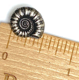 Nautilus Shell Button, 9/16" Silver Metal 15mm Shank Back Smallest Size  #SK-868