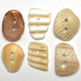 Six Natural Shell Buttons, 7/8"- 1" Various Colors, Shapes # BCH-116