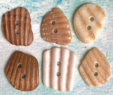 Six Natural Shell Buttons, Various Colors/Shapes 7/8"- 1" # BCH-118