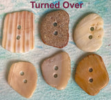 Six Natural Shell Buttons, Various Colors/Shapes 7/8"- 1" # BCH-118