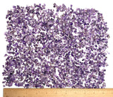 CLEARANCE AMETHYST Polished Tumbled Chip Beads, Small Holes, Over 1,000, 7.7 ounces LOTS of THEM  #CL-15