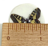 SALE, Tiger Swallowtail Butterfly Porcelain Button by Kate Holliday 1-1/8"