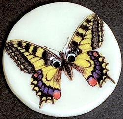 SALE, Tiger Swallowtail Butterfly Porcelain Button by Kate Holliday 1-1/8"