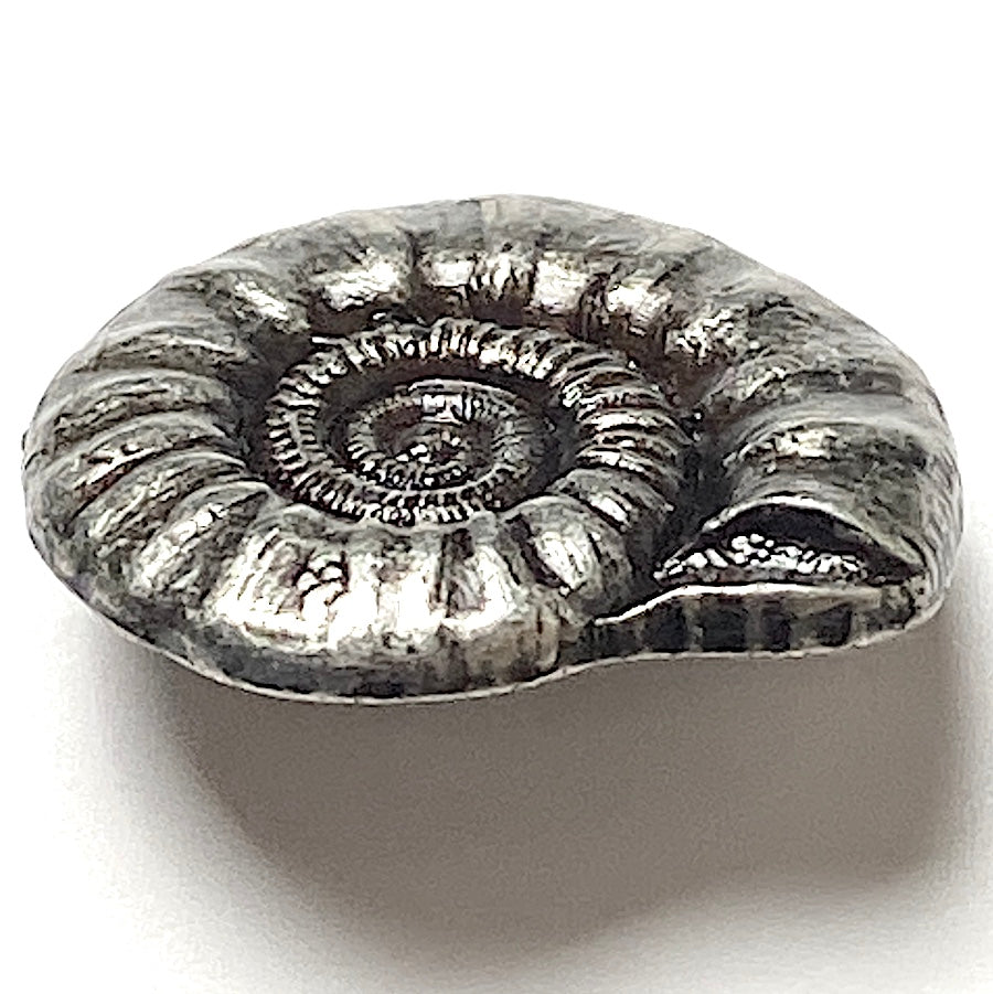 Ammonite or Nautilus Shell Button, 9/16