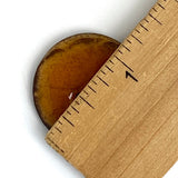 Re-Stocked, Pumpkin Pie Shiny Coconut 1-1/8" 2-Hole Button 28mm  #SWC-114