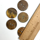 Brown Burnt Horn Rustic Wood-Look 1.25" Two-Hole Button  #SK-0057