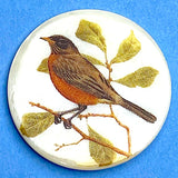 Robin Mother of Pearl Shell Shank Back Artisan Button by Susan Clarke Originals 1-3/8"  #SC-1525
