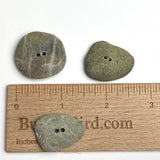 Three Beach Stone Buttons, Greenish Grays 1"  # BCH-121