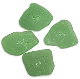 Set of Four Green Real Sea Glass Buttons Approximately 1"  # BCH-131