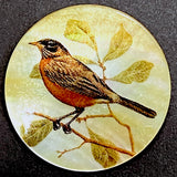 Robin Mother of Pearl Shell Shank Back Artisan Button by Susan Clarke Originals 1-3/8"  #SC-1525