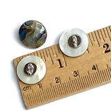 Re-Stocked, Abalone Shank Back Shell Button 5/8" 15mm Blues/Greens  # L66594