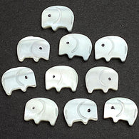 Rr-Stocked, Elephant Beads, Tiny White Shell, 7/16" 11mm MOP Pack of TEN   #LP-94