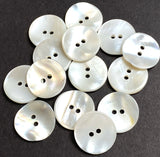 Re-Stocked White Shell 11/16" Iridescent 2-hole 18mm Rustic Wildcat Backs, Pack of 21, #KB-946