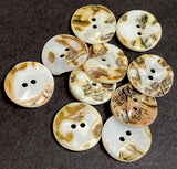 Re-Stocked White Shell 11/16" Iridescent 2-hole 18mm Rustic Wildcat Backs, Pack of 21, #KB-946