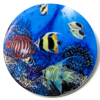 Running Low, Under the Sea Button by Susan Clarke, 1-1/2" Mother of Pearl Shank Back