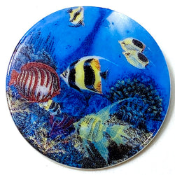 Under the Sea Button by Susan Clarke, 1-1/2" Mother of Pearl Shank Back