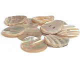 Golden Beige Rainbow Magical Curves Abalone 2-Hole Buttons, 11/16" Champagne Pack of 10  #KB-958