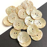 Golden Shell, White Roses Laser-Etched, Largest Size 1-1/8" / 28mm 2-Hole  Per Button #SK-1175