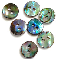 Abalone 7/16"-1/2" Small Vivid Greens/Blues Iridescent 2-Hole Buttons 11.5mm. Pack of 7   #SK-2257