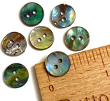 Abalone 7/16" Small Vivid Greens/Blues Iridescent Buttons 11mm. Pack of 7   #SK-2257