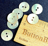 Pastel Greenish Mother of Pearl Agoya Low-Shine Shell 5/8" 2-hole Button, 15mm Pack of 8  #SK-1215-8