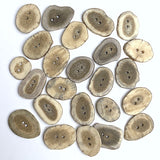Tan/Light Brown Oval Cross-Cut Genuine Antler Buttons 1" to 1-1/4" #SW-201