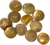Bronze Iridescent Shiny Brown 7/8" Pearl Shell 2-hole Button #D-475
