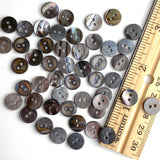 Rustic Gray-Brown Melange Small Shell 10mm 2-Hole Button 3/8", Pack of 50  #LP-44