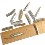 Natural Real MOP Iridescent Shell Iridescent 1.5" Toggles / Buttons, Pack of 20 #LP-108