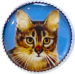 Last Ones, Cat Portrait, Tabby Kitty on Blue 18mm Winky and Dutch 3/4" Shank Back Button