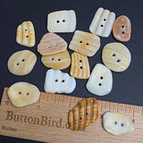 15 Stunning Natural SHELL Buttons, Roughly 1"  # BCH-89