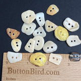20 Stunning Smaller Natural SHELL Buttons, Roughly 3/4"  # BCH-90