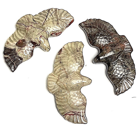 New Markdown, Three Stone Hawk Pendants, Polished Ocean Jasper in Earth Tones, 2"  #LP-16-A