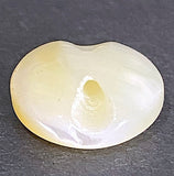 Vintage Pearl Pastel Ivory-White Glow, 1/2" Real Shell 13mm, Self-Shank Pack of 12  #VB-27