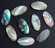 LAST PACK, Abalone Mother of Pearl Ovals, 3/4" x 1/2", All Colors, Glowing Natural, No Holes, Pack of 40+ Pieces #CL-16