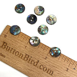 Abalone 7/16"-1/2" Small Vivid Greens/Blues Iridescent 2-Hole Buttons 11.5mm. Pack of 7   #SK-2257