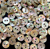 Re-Stocked Bulk Deal: Golden Beige Rainbow Natural Abalone, 3/8" Round 2-hole, 10mm, Pack of 100 Buttons  #LP-113