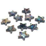 Re-Stocked Tiny Abalone Star Beads, 3/8", Deep Colors, 10mm, Pack of TEN Beads, #LP-121