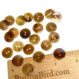 Semi-Clear Brown Mix, 9/16" Shell Buttons from Japan, EIGHTEEN for $7.50  #KB-954
