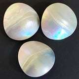 Last of These, Two-Shell "Moonslice" Abstract Dome Shape, Shank Back Button, 3/4"  #672