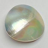 Last of These, Two-Shell "Moonslice" Abstract Dome Shape, Shank Back Button, 3/4"  #672