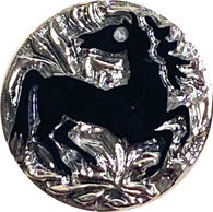 Black Horse Czech Glass, Card of 24 Vintage 11/16" Shank Back Buttons #VB-34